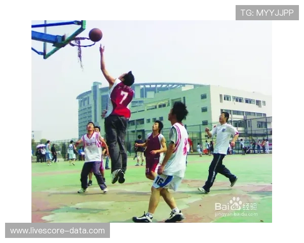 篮球滚球盘平台对比评测避坑防骗指南 篮球滚球盘平台对比评测避坑防骗指南